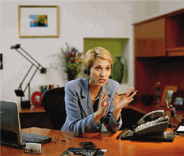 TelcoMgr Professional Edition